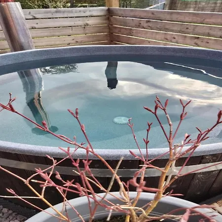 Near Dabo Rock With Finnish Spa, Cleaning Included Ferienhaus