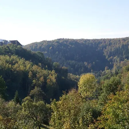 Near Dabo Rock With Finnish Spa, Cleaning Included Ferienhaus